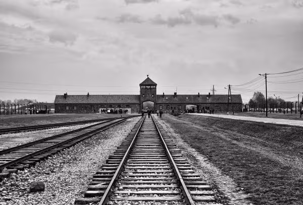 Per non dimenticare: Giornata della Memoria - 80° anniversario della liberazione di Auschwitz