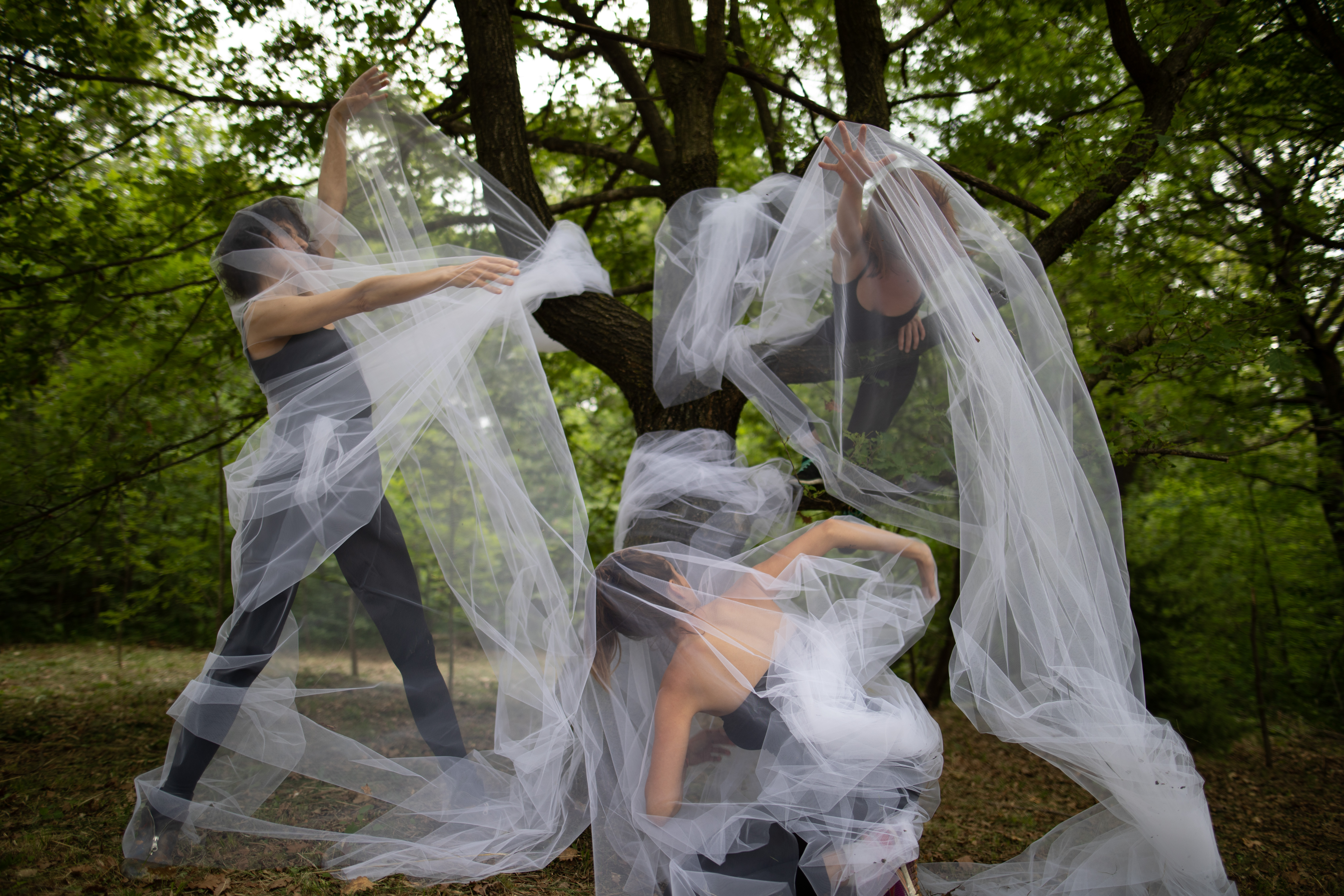 DANZANDO MUSICA E PAROLE CONTRO LA VIOLENZA SULLE DONNE - Domenica 27 novembre 2022 ore 20.30 